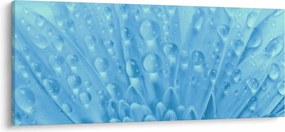 Obraz - Makro záber kvetu (120x50 cm)