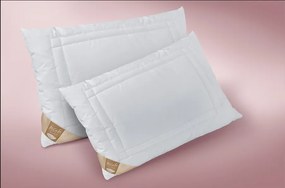 Vankúš Mirabell - Varianty: 50x70 cm zips+vak (500 g)