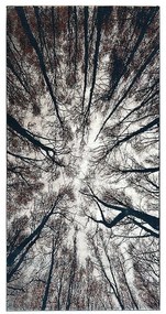 Koberec Emporio 1,6/2,3 4880A BOS OS 28 krémová