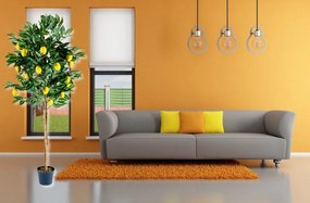 PLANTASIA 1408 Umelá kvetina strom - citrónovník - 184 cm