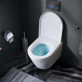 Toaletný set s inštaláciou AM.PM IIS90101.NA1700 bezokrajové, so sedadlom microlift, biela mechanické tlačidlo na splachovanie