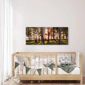 Obraz stromov pri jazere (120x50 cm)