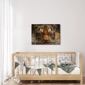 Obraz - Portrét tigra vo vode (70x50 cm)