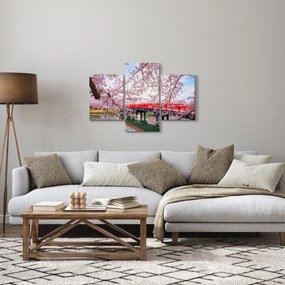 Obraz - Hirosaki, Japonsko (90x60 cm)