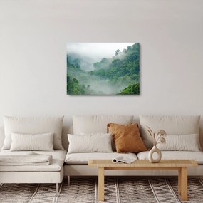 Sklenený obraz - Ranná hmla (70x50 cm)