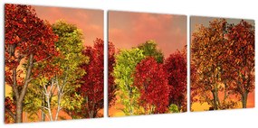 Obraz prírody - farebné stromy