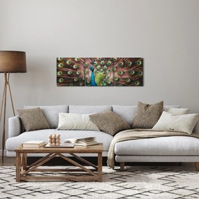 Obraz - Páv (s hodinami) (90x30 cm)