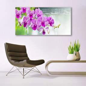Obraz plexi Orchidey kvapky príroda 120x60 cm