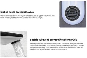 Deante Alpinia, stojanková bidetová batéria, zlatá lesklá, DEA-BGA_Z30M