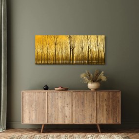 Obraz - Plantáž stromov (120x50 cm)