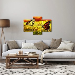 Obraz motýľov (90x60 cm)