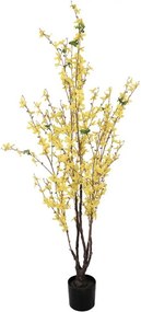 Dekoračný krík so žltými kvetmi zlatou Forsythia - 20*20*125 cm