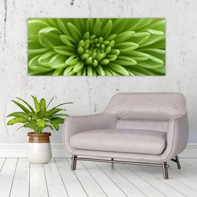 Obraz - Makro snímka rastliny (120x50 cm)