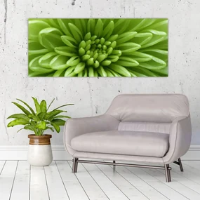 Obraz - Makro snímka rastliny (120x50 cm)