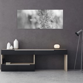 Obraz - Boho pampas grass (120x50 cm)