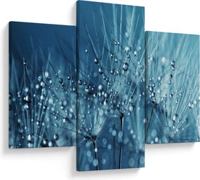 Obraz - Kvapky rosy (90x60 cm)
