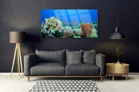 Obraz plexi Koralový útes príroda 120x60 cm