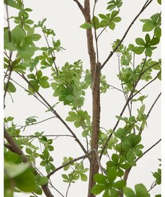 Umelá rastlina (výška 214 cm) Enkianthus – Kave Home