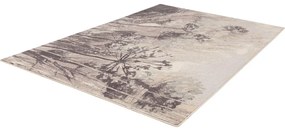 Krémovo-sivý vlnený koberec 160x240 cm Lissey – Agnella
