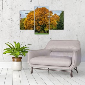 Obraz stromu (90x60 cm)