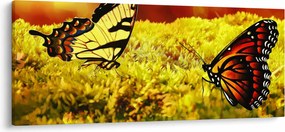 Obraz motýľov (120x50 cm)