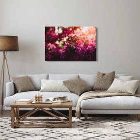 Obraz kvetov rozkvitnutého kríku (90x60 cm)