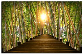 Obraz na plátne - Drevená promenáda v bambusovom lese 1172A (60x40 cm)