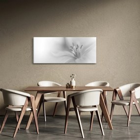 Obraz - Jemná ľalia (120x50 cm)