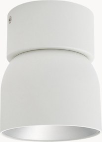 Stmievateľné stropné bodové svietidlo Pitcher