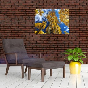 Sklenený obraz - Aspen (70x50 cm)