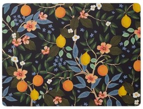 Rifle Paper Co. Korkové prestieranie Citrus Grove – set 4 ks