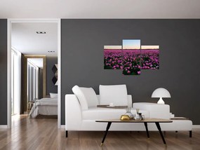 Obraz - Lúka fialových tulipánov (90x60 cm)