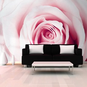 Artgeist Fototapeta - Rose maze Veľkosť: 100x70, Verzia: Standard