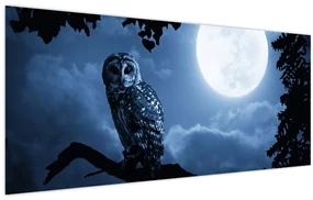Obraz - Nočná sova (120x50 cm)