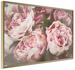 Artgeist Plagát - Pink Peonies [Poster] Veľkosť: 45x30, Verzia: Zlatý rám