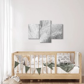 Obraz - Pampas grass N⁰1 (90x60 cm)