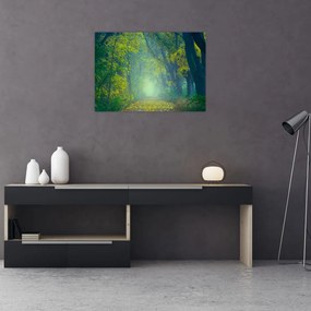 Sklenený obraz cesty lemovanej stromami (70x50 cm)