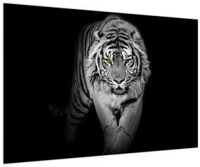 Obraz - Tiger so žltými očami (90x60 cm)