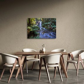 Sklenený obraz australského dažďového lesa (70x50 cm)