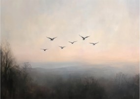 Sklenený obraz - Hejno vtákov (70x50 cm)