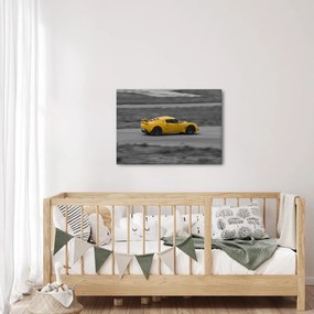 Obraz - Rýchle auto (70x50 cm)