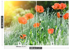 Fototapeta Vliesová Makové kvety 104x70 cm