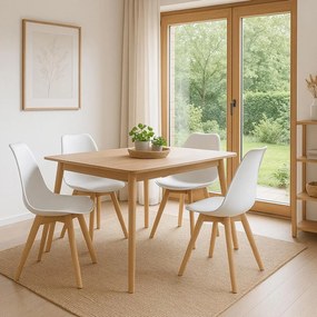 Set - 4 ks Jedálenské stoličky AVENBERG SKANDI biela