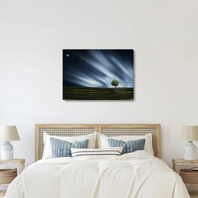 Obraz polárna žiara nad vresoviskom (70x50 cm)
