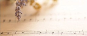 Obraz - Pieseň (120x50 cm)