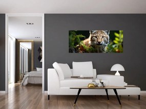 Obraz - Rys (120x50 cm)