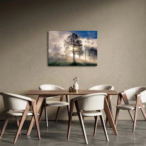 Obraz stromu v hmle (70x50 cm)