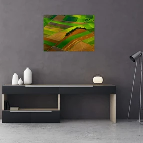 Obraz - Polia, lúky (70x50 cm)
