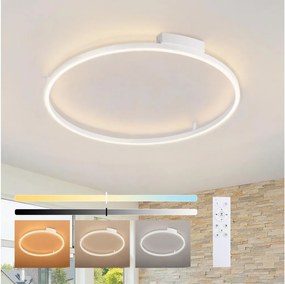 BRILAGI - stmievateľné LED svietidlo PORTOFINO LED/60W/230V, pr. 80 cm, biela + DO
