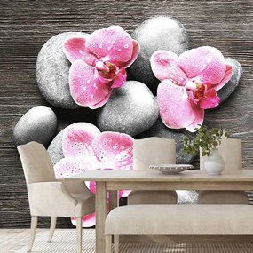 Samolepiaca fototapeta Zen kompozícia s orchideou - 375x250